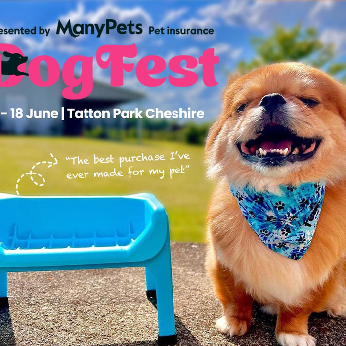 DogFest 2023 - Tatton Park Cheshire