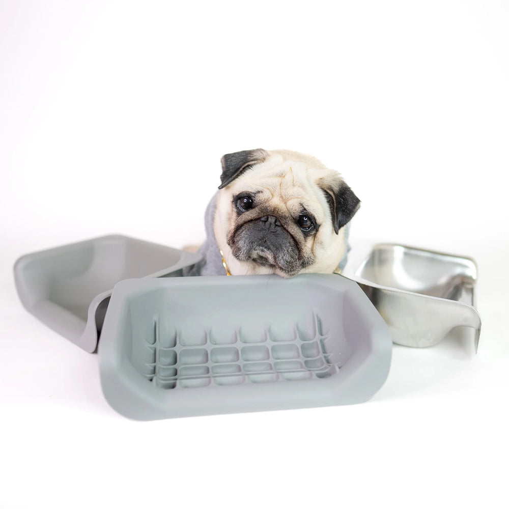 What's the Best Slow Feeder Bowl for Pugs?