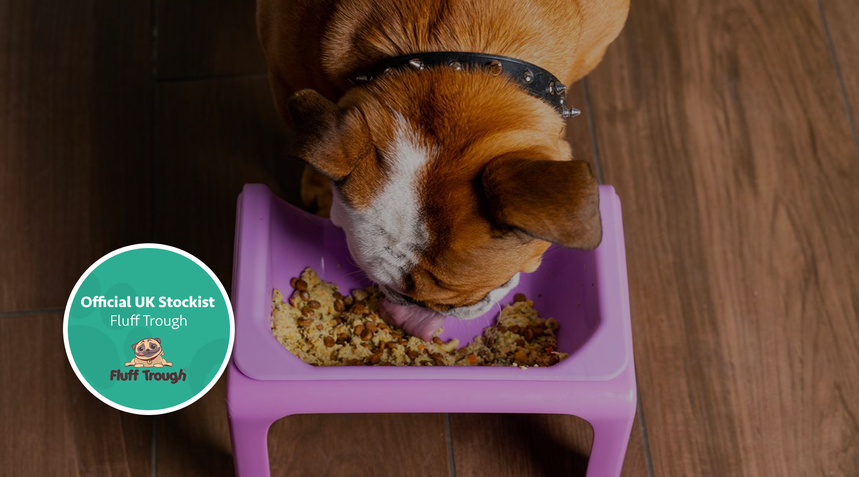 An Introduction to The Fluff Trough Dog Bowl & Pawtion!